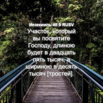 Picture 04 - Иезекииль 48:9 RUSV - Участок, который вы - Bible Verse Picture