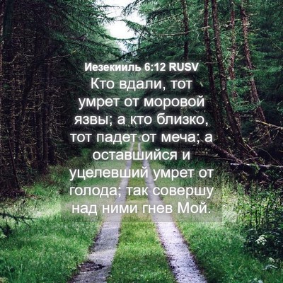 Picture 04 - Иезекииль 6:12 RUSV - Кто вдали, тот умрет от - Bible Verse Picture