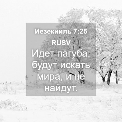 Picture 04 - Иезекииль 7:25 RUSV - Идет пагуба; будут искать - Bible Verse Picture