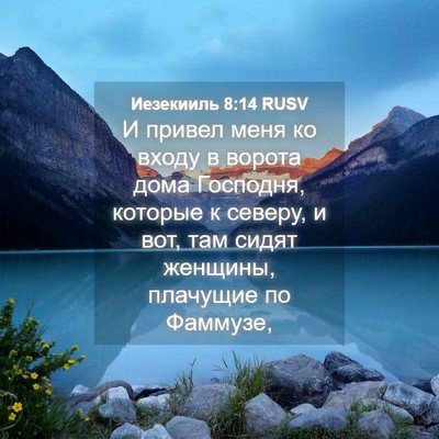 Picture 04 - Иезекииль 8:14 RUSV - И привел меня ко входу в - Bible Verse Picture
