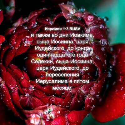 Picture 04 - Иеремия 1:3 RUSV - и также во дни Иоакима, - Bible Verse Picture