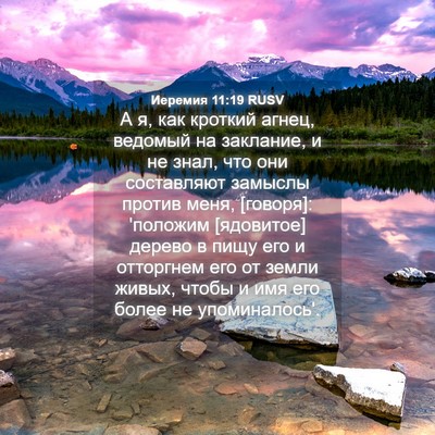 Picture 04 - Иеремия 11:19 RUSV - А я, как кроткий агнец, - Bible Verse Picture