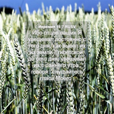 Picture 04 - Иеремия 11:7 RUSV - Ибо отцов ваших Я увещевал - Bible Verse Picture