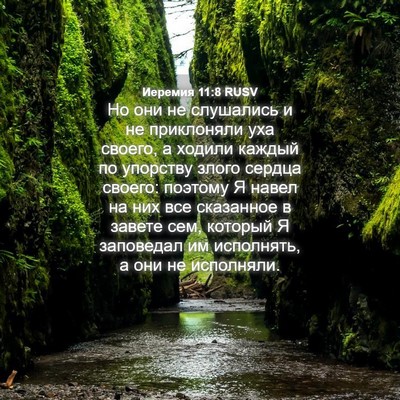 Picture 04 - Иеремия 11:8 RUSV - Но они не слушались и не - Bible Verse Picture