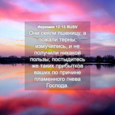 Picture 04 - Иеремия 12:13 RUSV - Они сеяли пшеницу, а пожали - Bible Verse Picture