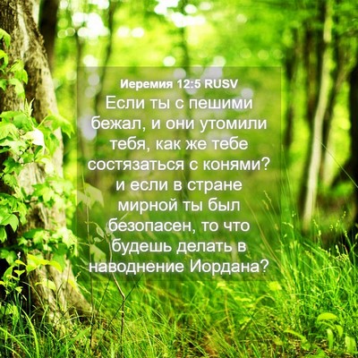 Picture 04 - Иеремия 12:5 RUSV - Если ты с пешими бежал, и - Bible Verse Picture