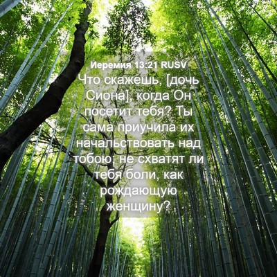 Picture 04 - Иеремия 13:21 RUSV - Что скажешь, [дочь Сиона], - Bible Verse Picture