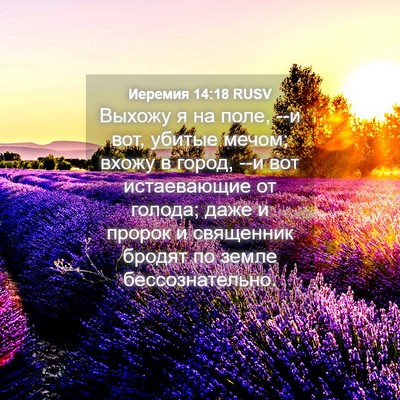 Picture 04 - Иеремия 14:18 RUSV - Выхожу я на поле, --и вот, - Bible Verse Picture