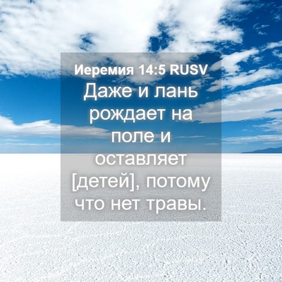 Picture 04 - Иеремия 14:5 RUSV - Даже и лань рождает на поле - Bible Verse Picture