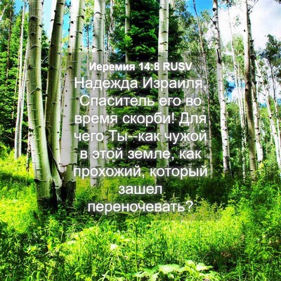 Picture 04 - Иеремия 14:8 RUSV - Надежда Израиля, Спаситель - Bible Verse Picture