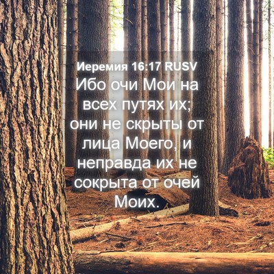 Picture 04 - Иеремия 16:17 RUSV - Ибо очи Мои на всех путях - Bible Verse Picture