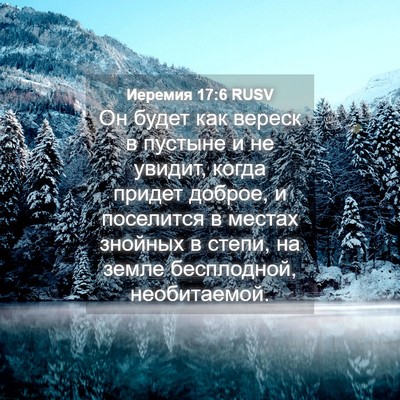 Picture 04 - Иеремия 17:6 RUSV - Он будет как вереск в - Bible Verse Picture