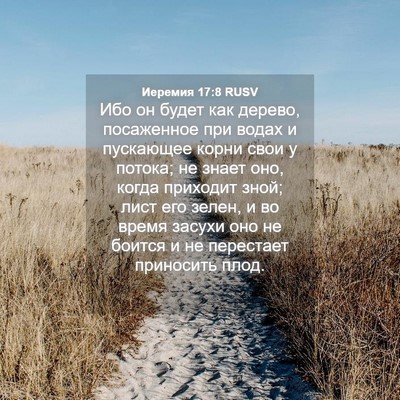 Picture 04 - Иеремия 17:8 RUSV - Ибо он будет как дерево, - Bible Verse Picture