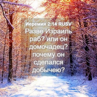 Picture 04 - Иеремия 2:14 RUSV - Разве Израиль раб? или он - Bible Verse Picture