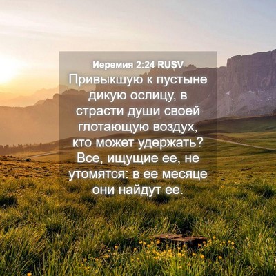 Picture 04 - Иеремия 2:24 RUSV - Привыкшую к пустыне дикую - Bible Verse Picture