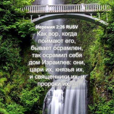 Picture 04 - Иеремия 2:26 RUSV - Как вор, когда поймают его, - Bible Verse Picture