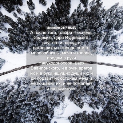 Picture 04 - Иеремия 21:7 RUSV - А после того, говорит - Bible Verse Picture
