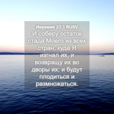 Picture 04 - Иеремия 23:3 RUSV - И соберу остаток стада - Bible Verse Picture