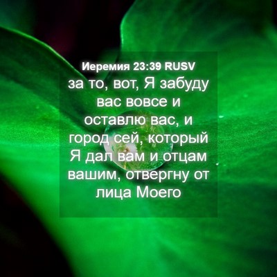 Picture 04 - Иеремия 23:39 RUSV - за то, вот, Я забуду вас - Bible Verse Picture