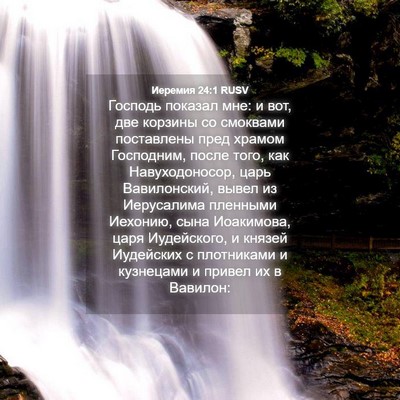 Picture 04 - Иеремия 24:1 RUSV - Господь показал мне: и вот, - Bible Verse Picture