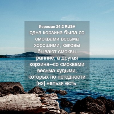 Picture 04 - Иеремия 24:2 RUSV - одна корзина была со - Bible Verse Picture