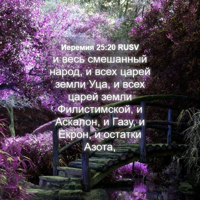Picture 04 - Иеремия 25:20 RUSV - и весь смешанный народ, и - Bible Verse Picture