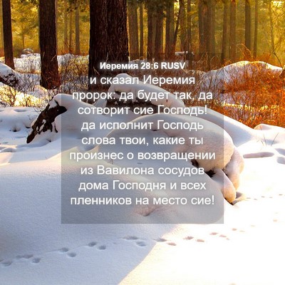 Picture 04 - Иеремия 28:6 RUSV - и сказал Иеремия пророк: да - Bible Verse Picture