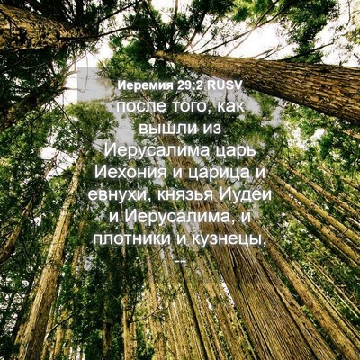 Picture 04 - Иеремия 29:2 RUSV - после того, как вышли из - Bible Verse Picture