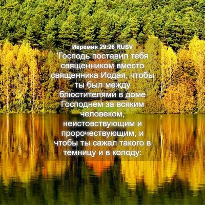 Picture 04 - Иеремия 29:26 RUSV - 'Господь поставил тебя - Bible Verse Picture