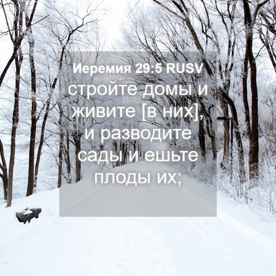 Picture 04 - Иеремия 29:5 RUSV - стройте домы и живите [в - Bible Verse Picture