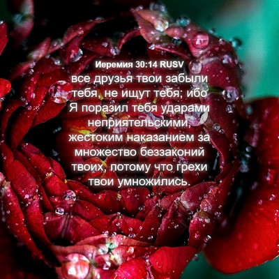Picture 04 - Иеремия 30:14 RUSV - все друзья твои забыли - Bible Verse Picture