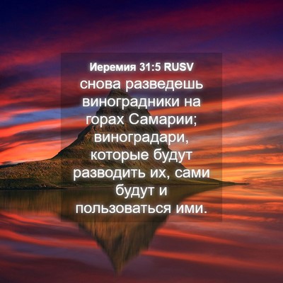 Picture 04 - Иеремия 31:5 RUSV - снова разведешь - Bible Verse Picture