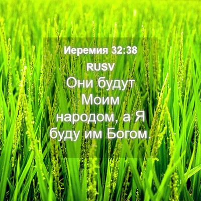 Picture 04 - Иеремия 32:38 RUSV - Они будут Моим народом, а Я - Bible Verse Picture