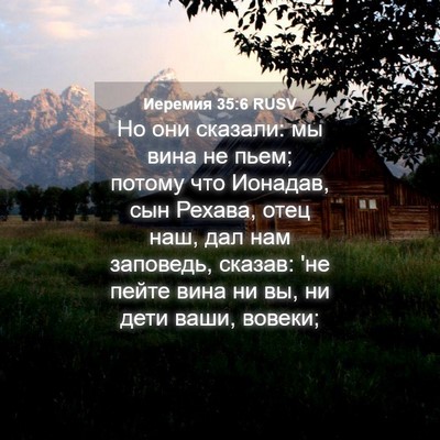Picture 04 - Иеремия 35:6 RUSV - Но они сказали: мы вина не - Bible Verse Picture