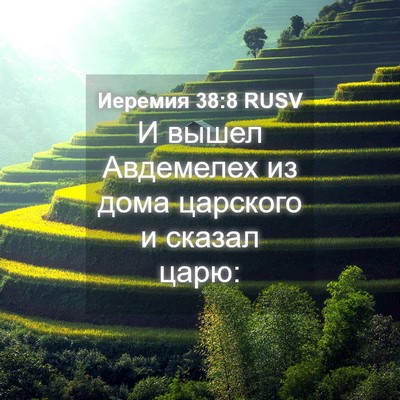 Picture 04 - Иеремия 38:8 RUSV - И вышел Авдемелех из дома - Bible Verse Picture