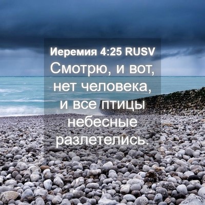 Picture 04 - Иеремия 4:25 RUSV - Смотрю, и вот, нет человека, - Bible Verse Picture