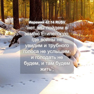 Picture 04 - Иеремия 42:14 RUSV - 'нет, мы пойдем в землю - Bible Verse Picture