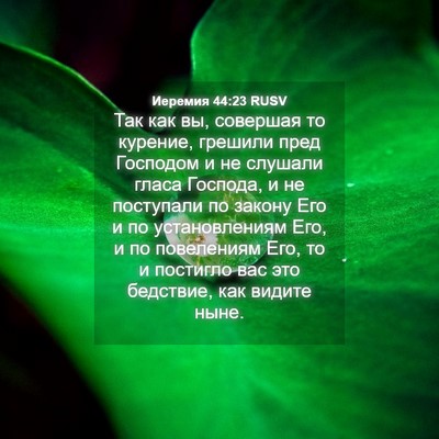 Picture 04 - Иеремия 44:23 RUSV - Так как вы, совершая то - Bible Verse Picture