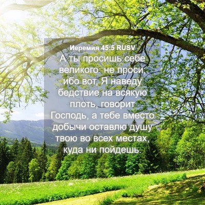 Picture 04 - Иеремия 45:5 RUSV - А ты просишь себе великого: - Bible Verse Picture