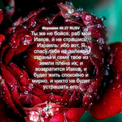 Picture 04 - Иеремия 46:27 RUSV - Ты же не бойся, раб мой - Bible Verse Picture
