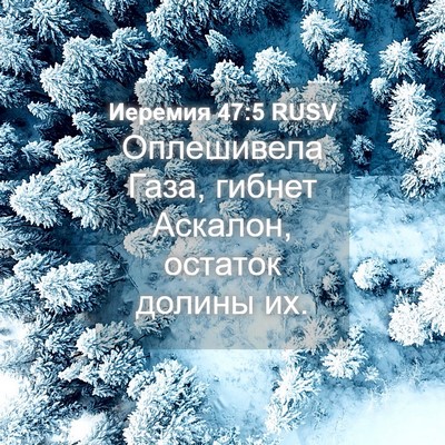 Picture 04 - Иеремия 47:5 RUSV - Оплешивела Газа, гибнет - Bible Verse Picture