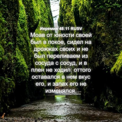 Picture 04 - Иеремия 48:11 RUSV - Моав от юности своей был в - Bible Verse Picture