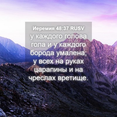 Picture 04 - Иеремия 48:37 RUSV - у каждого голова гола и у - Bible Verse Picture