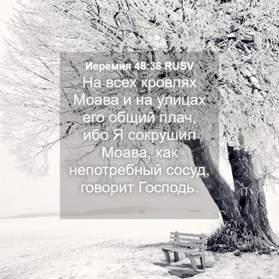 Picture 04 - Иеремия 48:38 RUSV - На всех кровлях Моава и на - Bible Verse Picture
