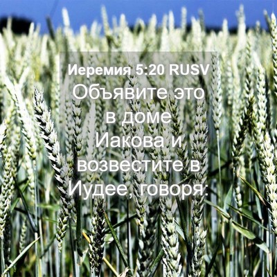 Picture 04 - Иеремия 5:20 RUSV - Объявите это в доме Иакова - Bible Verse Picture