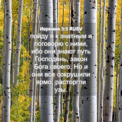 Picture 04 - Иеремия 5:5 RUSV - пойду я к знатным и - Bible Verse Picture