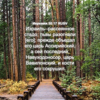 Picture 04 - Иеремия 50:17 RUSV - Израиль--рассеянное стадо; - Bible Verse Picture