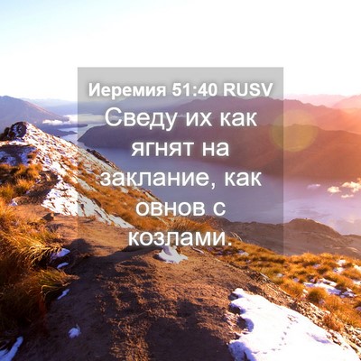 Picture 04 - Иеремия 51:40 RUSV - Сведу их как ягнят на - Bible Verse Picture