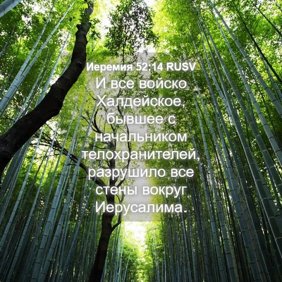 Picture 04 - Иеремия 52:14 RUSV - И все войско Халдейское, - Bible Verse Picture