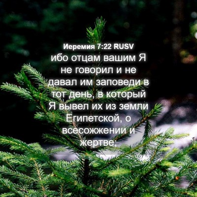Picture 04 - Иеремия 7:22 RUSV - ибо отцам вашим Я не - Bible Verse Picture